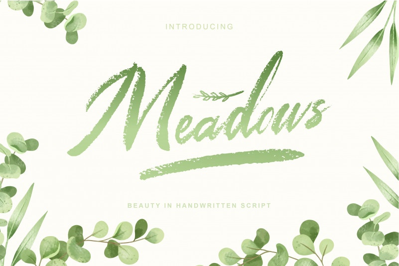 Шрифт Meadows