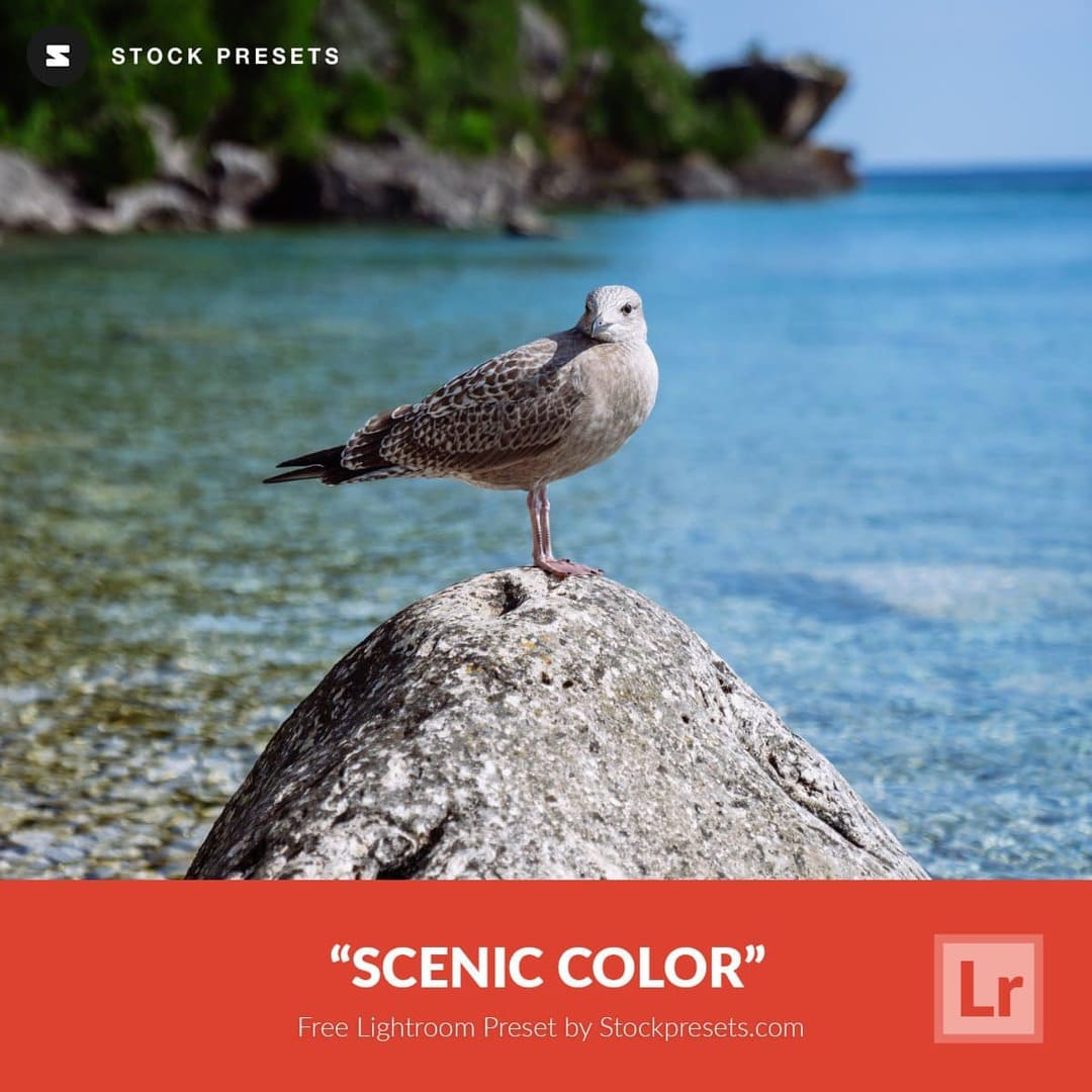 Пресет Scenic Color для Lightroom
