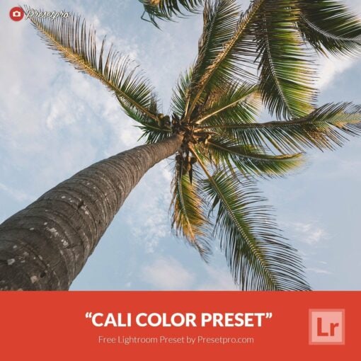 Пресет Cali Color Lightroom
