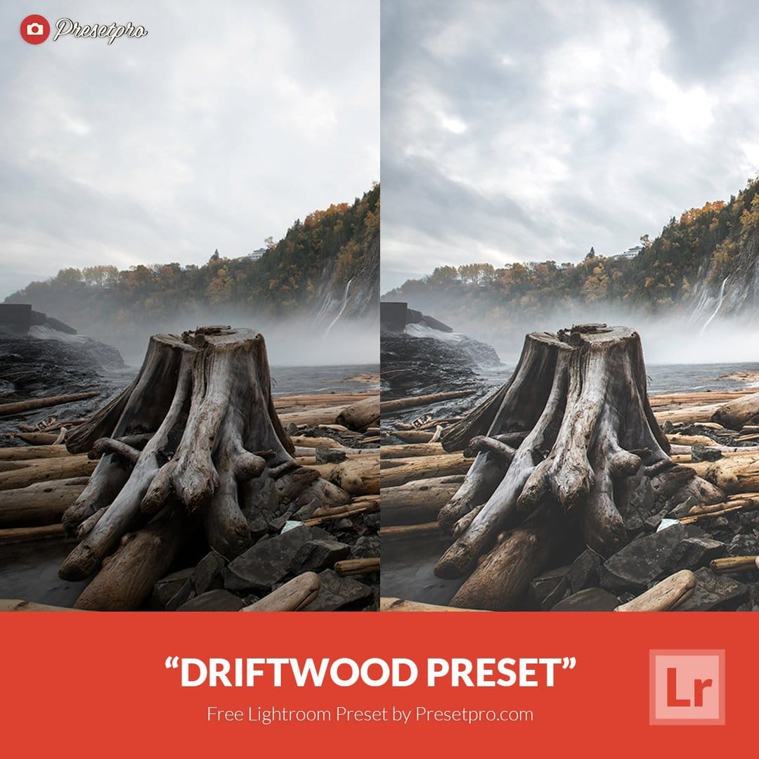 Пресет Driftwood Lightroom