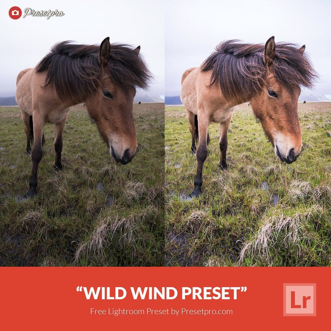 Пресет Wild Wind для Lightroom