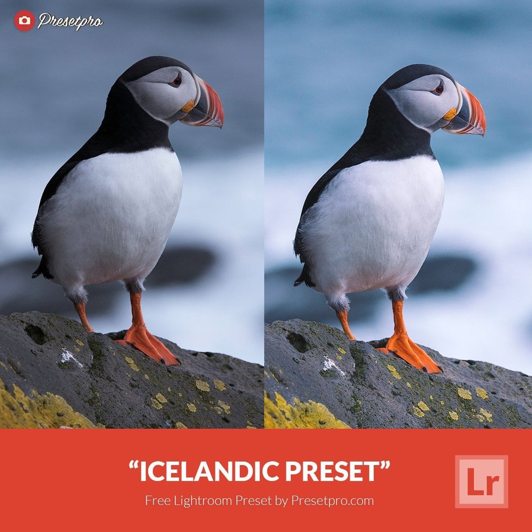 Пресет Icelandic 1 для Lightroom