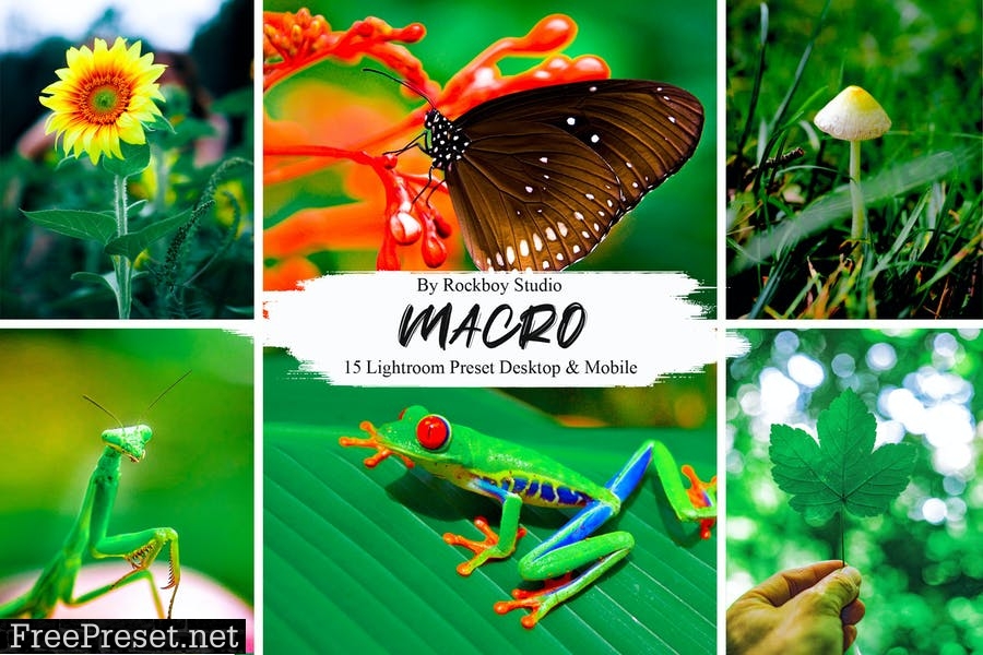 Пресет Macro для Lightroom
